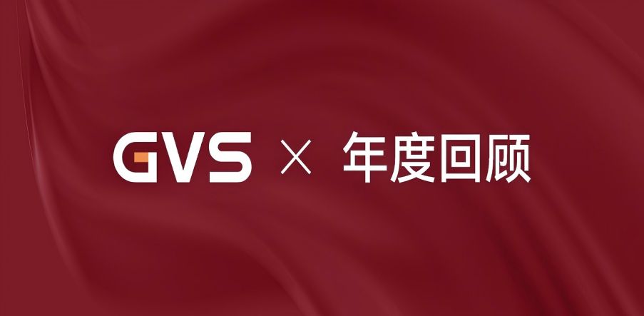 GVS 2024年終總結(jié)，請您查收